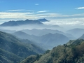 黑咪