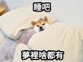 張三