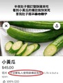 無腦側翼一大堆