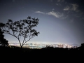 看孝畫